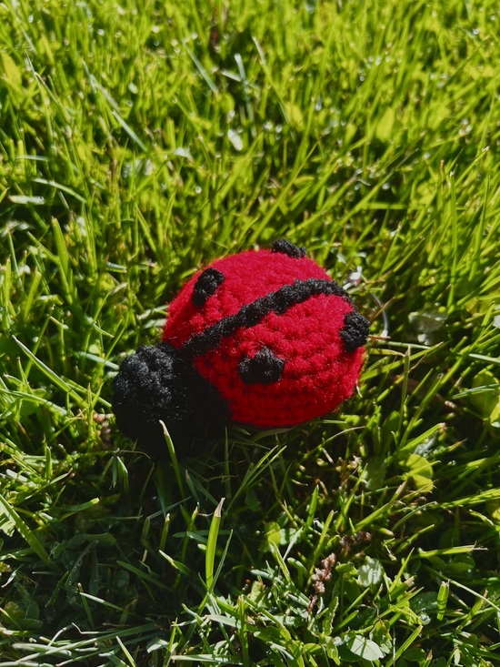 Hand Crafted Accessories - 3/$20 Hand Crocheted Lucky Little Ladybug Keychain!